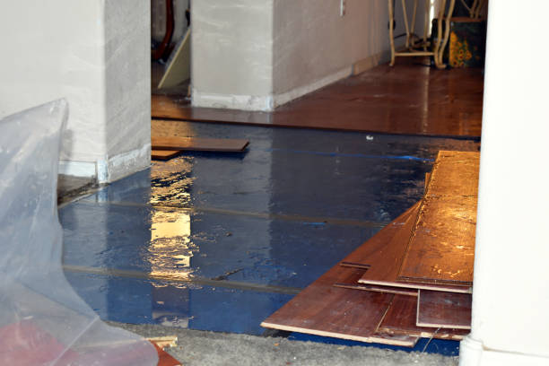Professional Burst Pipe Cleanup technician working in Duxbury, MA